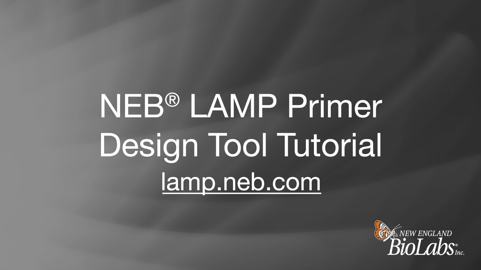 NEB LAMP Primer Design Tool Tutorial