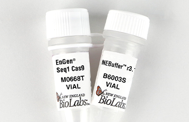 Photo of product vials